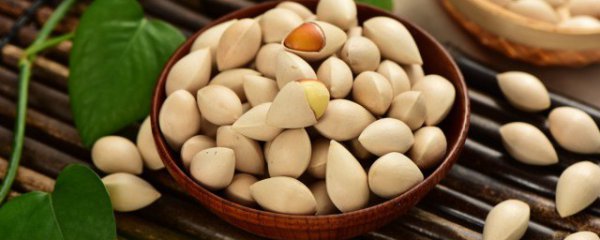 银杏有什么功效