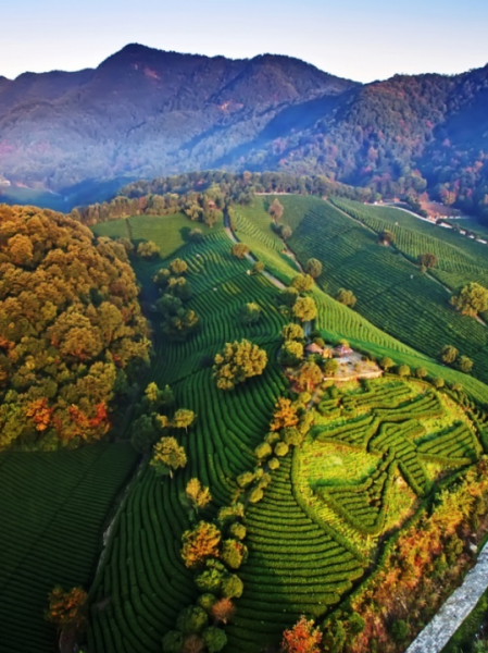 毕业旅行适合去的地方