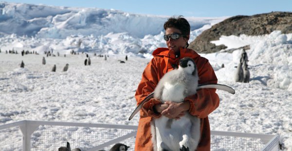 南极属于哪个国家领土吗