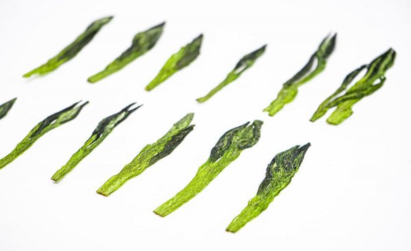 太平猴魁茶用多少度的水冲泡