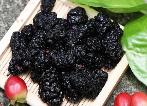 含铁多的水果排名