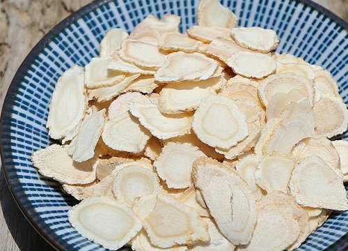 花旗参和西洋参的区别