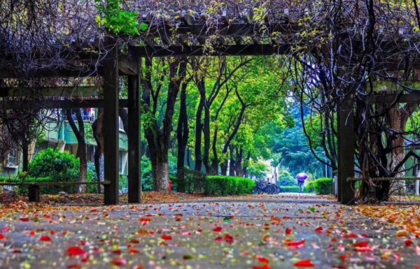 浙江省10所重点大学名单排名