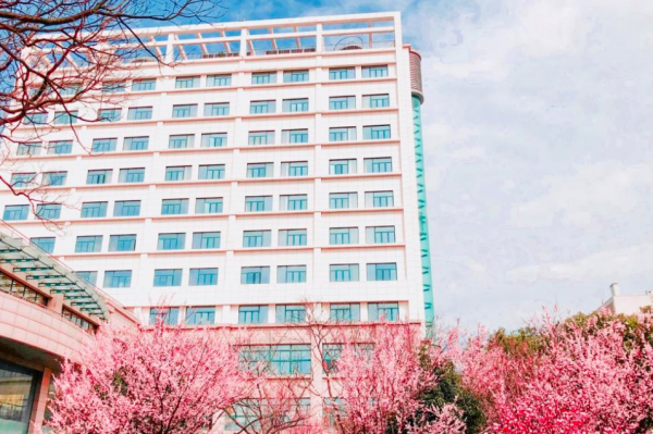 浙江省10所重点大学名单排名