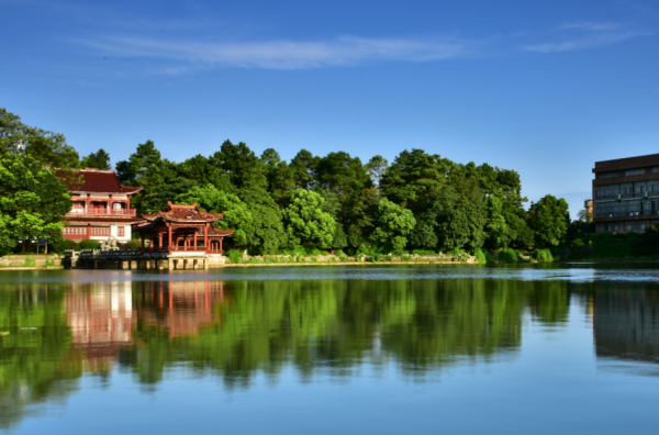 浙江省10所重点大学名单排名