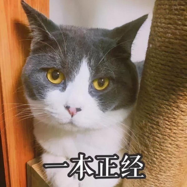 1号入职15号会发工资吗