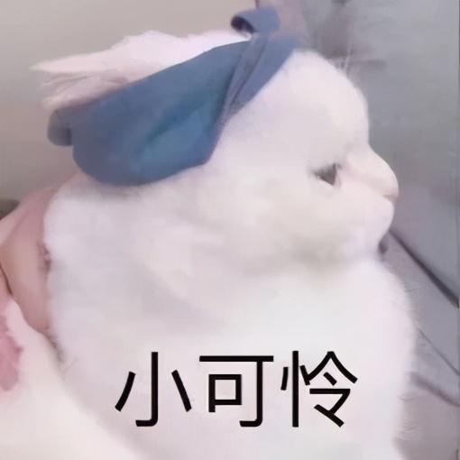 1号入职15号会发工资吗