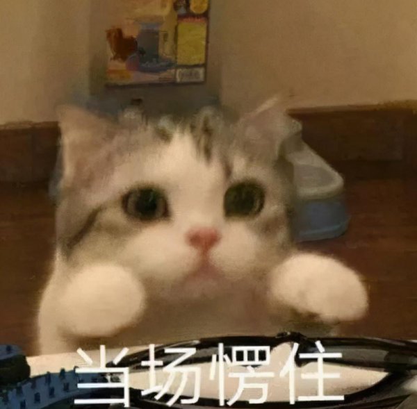 1号入职15号会发工资吗