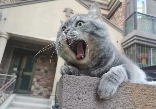 旧衣服怎么捐赠邮寄