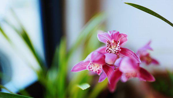 冷处理是什么意思