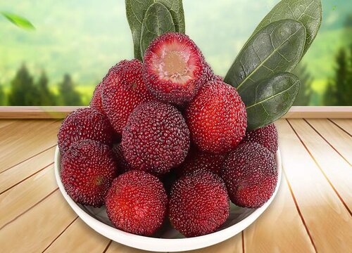 超山杨梅什么时候成熟