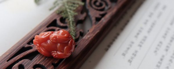 属老鼠佩戴什么好