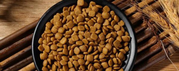 狗粮怎么样保存不发霉