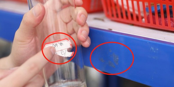 风油精的20种妙用你知道几个