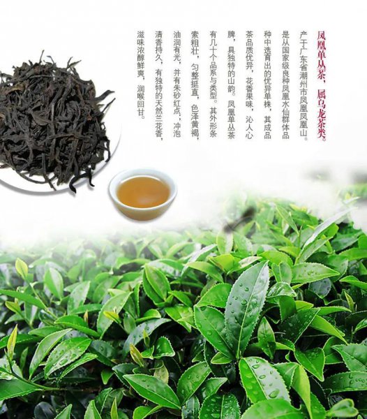 乌龙茶茶汤颜色分类描述