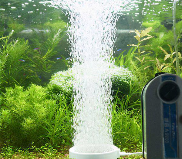 鱼缸增氧泵安装示意图