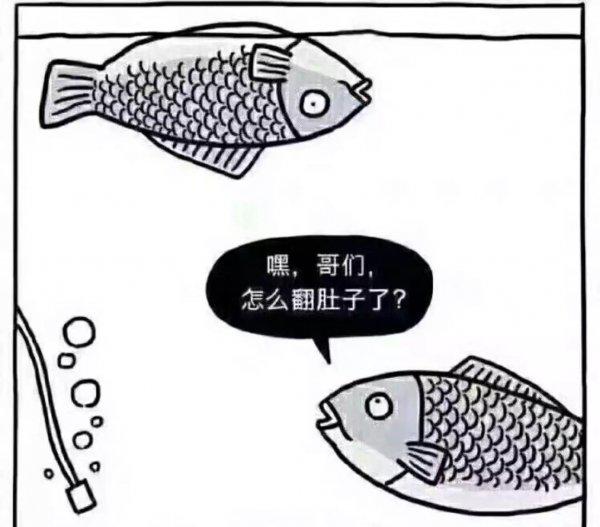 鱼缸增氧泵安装示意图