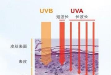 防晒一年四季都要涂吗
