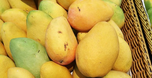 芒果怎么保存能放冰箱吗