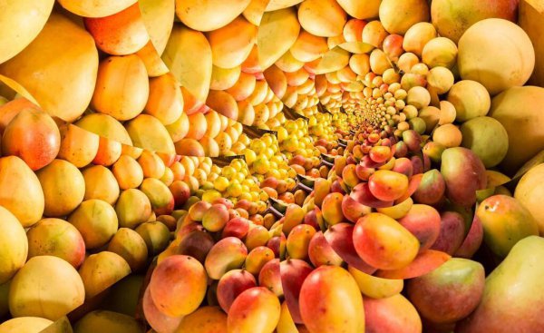 芒果怎么保存能放冰箱吗