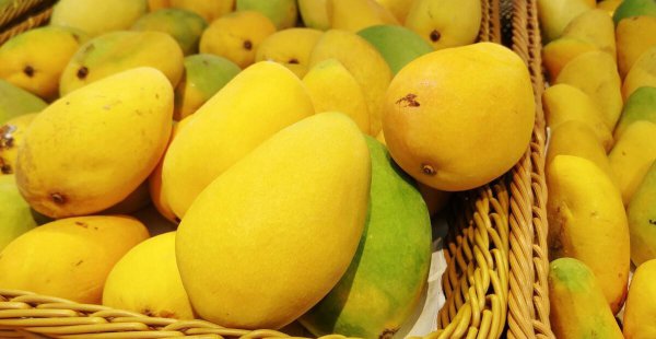 芒果怎么保存能放冰箱吗