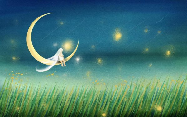 为什么说水瓶座最像猫