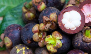 挑山竹怎么挑 挑山竹如何挑选好