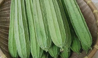 吃丝瓜的好处和坏处 吃丝瓜对人有哪些好处和坏处