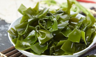 常见藻类植物有哪些 常见藻类植物的介绍