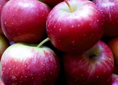 海棠果简介 沙果和海棠果的区别