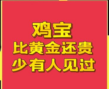 鸡宝到底值不值钱 鸡宝为什么如此值钱市场价格高