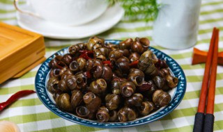 螺蛳吃哪个部位 螺丝吃什么部位