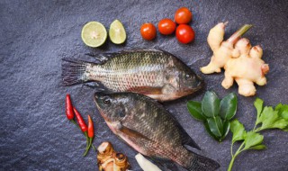 小鱼炖汤放什么材料好吃 小鱼炖汤放哪些材料好吃