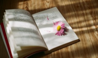 发给朋友的跨年句子 跨年适合发给朋友的句子精选