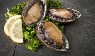 鲍鱼新鲜的怎么保存 鲍鱼的保存方法