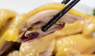 月经期可以喝鸡汤吗 月经期间鸡汤的好处