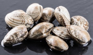 花甲如何保鲜 花甲的保鲜方法分享