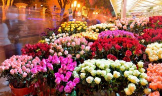 什么花适合送月子中妈妈 哪种花适合送月子中妈妈