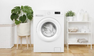 车垫能用洗衣机洗吗 车垫能不能用洗衣机洗