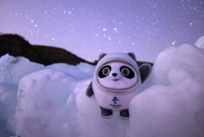 我国的国宝大熊猫的颜色为什么是黑白色的