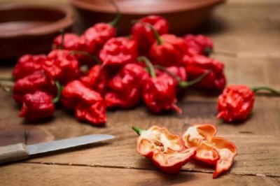 龙息辣椒有多恐怖 人吃了龙息辣椒之后会有什么反应