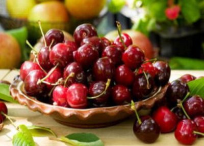 樱桃的生长习性 樱桃是转基因水果吗