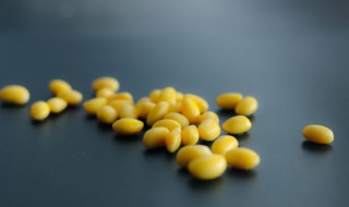 泡好的豆子几天能发芽吗 黄豆要泡多久才能发芽