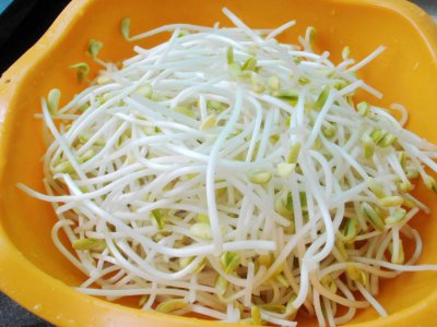 发豆芽用什么容器最好 自己在家发豆芽最好怎么做