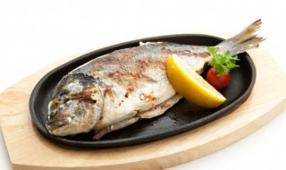 鱼和番茄可以一起吃吗 鱼和番茄能一起食用吗