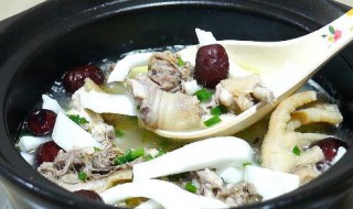 椰皇鸡汤的做法 椰皇鸡汤如何做