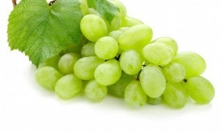 青提子是凉性还是热性 青提子属于凉性还是热性的水果呢