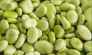 新鲜好吃蚕豆怎么做才好吃 新鲜蚕豆如何做好吃