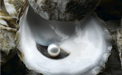 珍珠是怎么形成的 海洋珍珠和淡水珍珠的形成区别