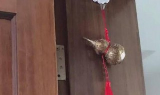 墙头上放什么旺家 墙头上放啥旺家